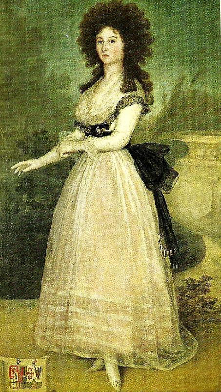 dona tadea arias de enriquez, Francisco de Goya